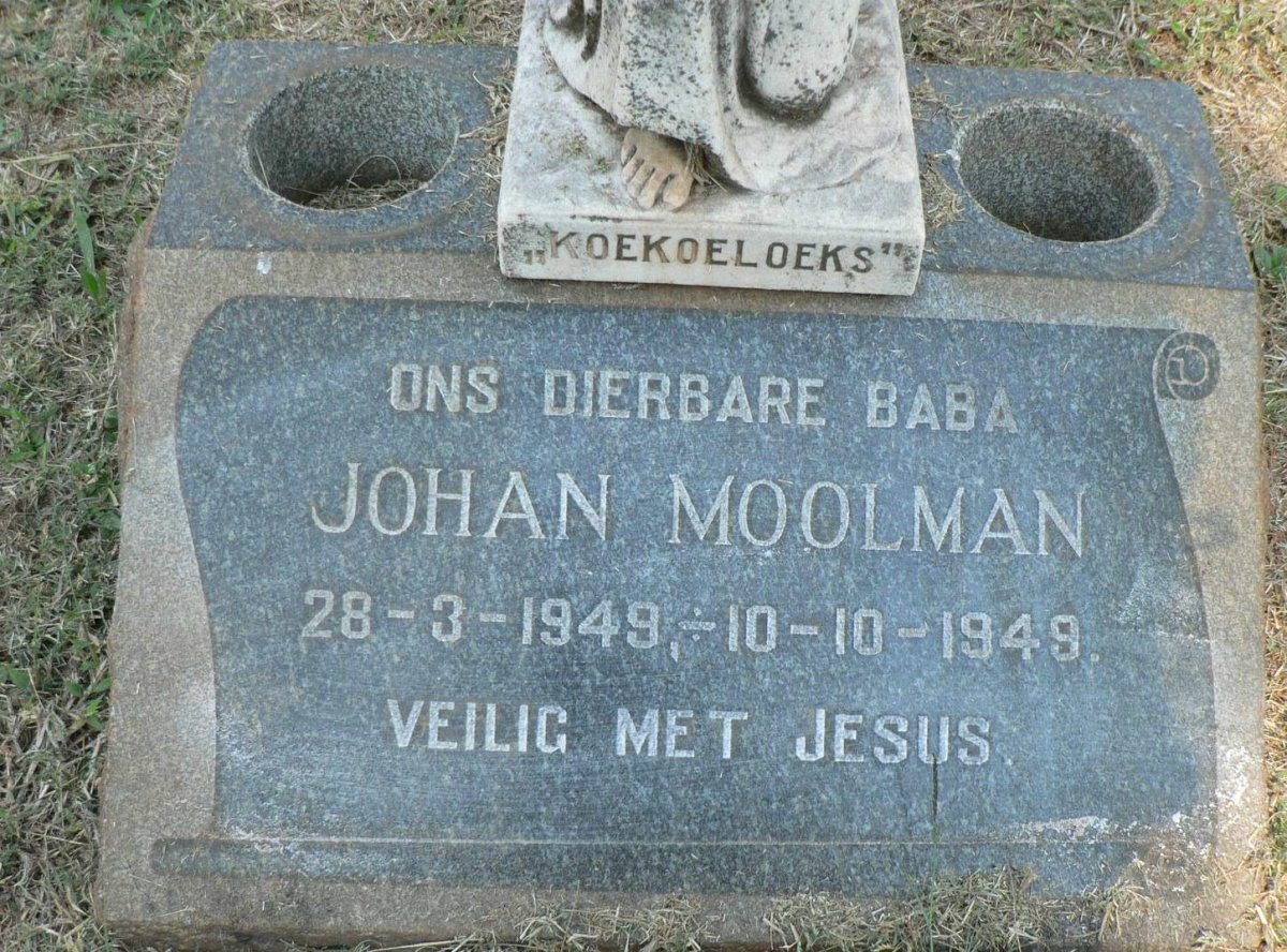 MOOLMAN Johan 1949-1949