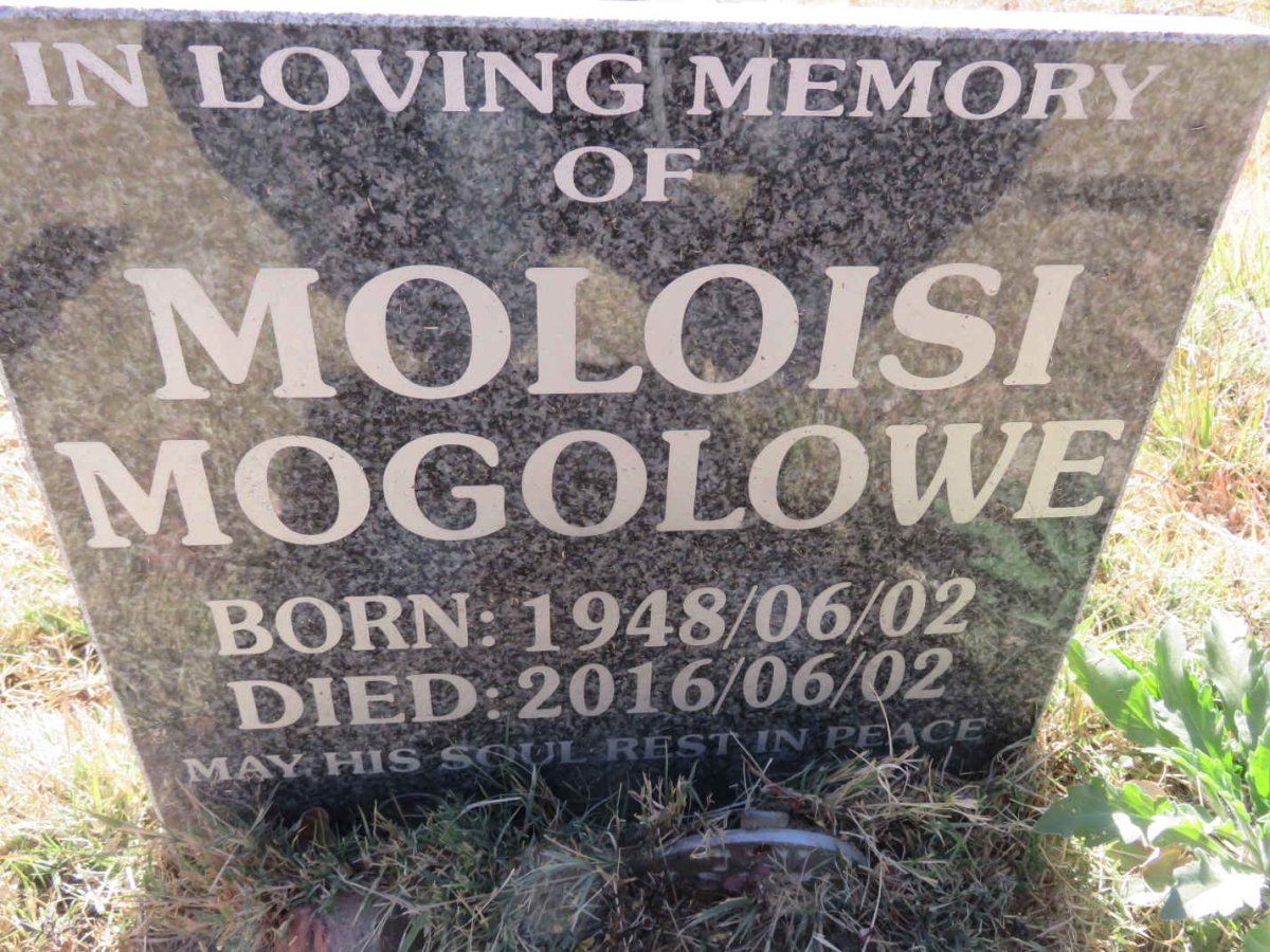 MOLOISI Mogolowe 1948-2016