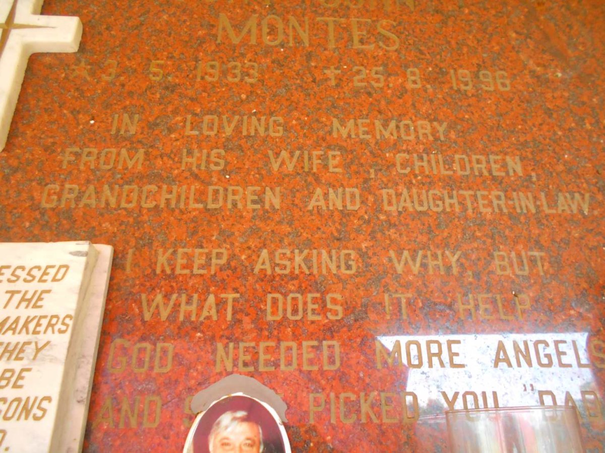 MONTES 1933-1996