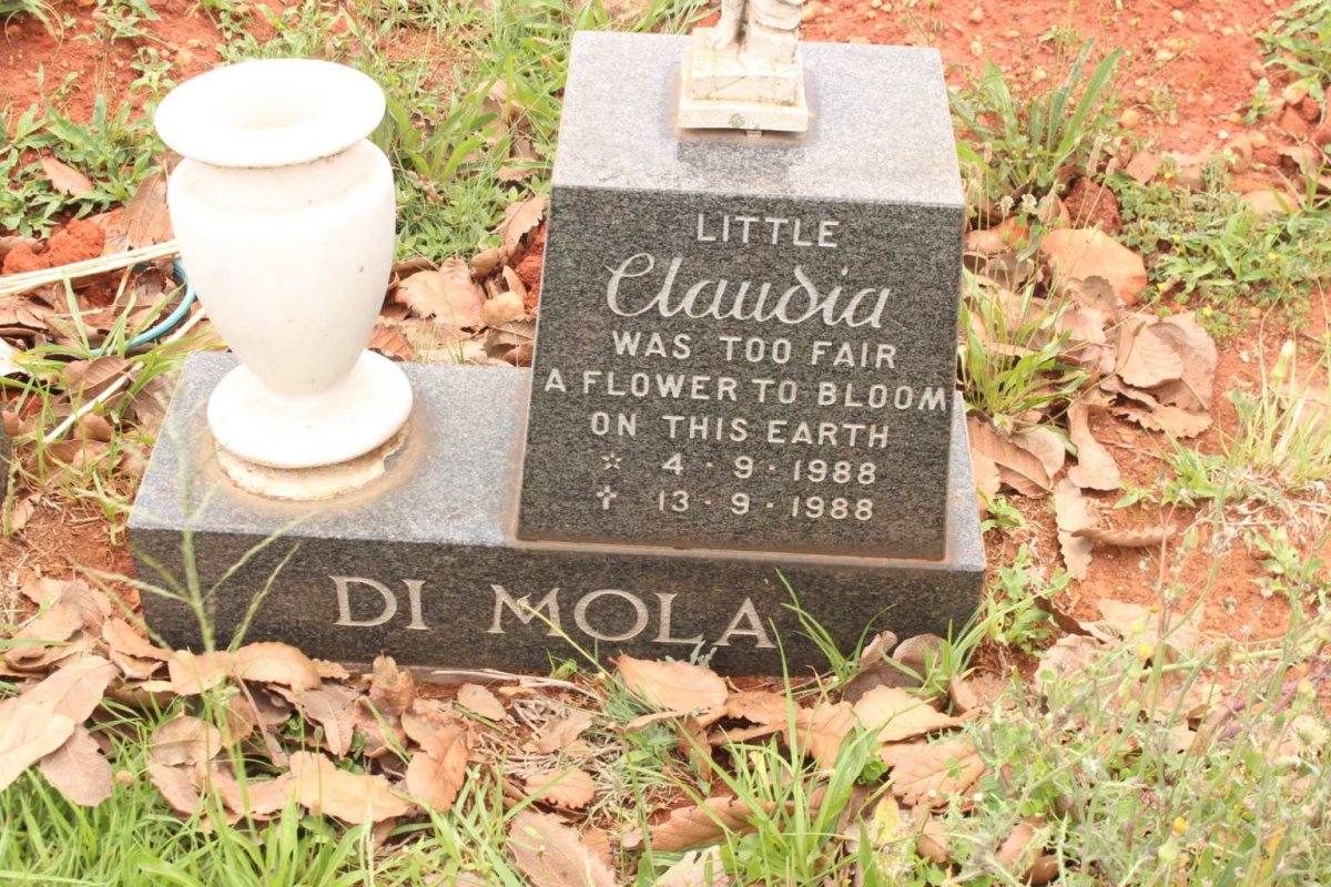 MOLA Claudia, di 1988-1988