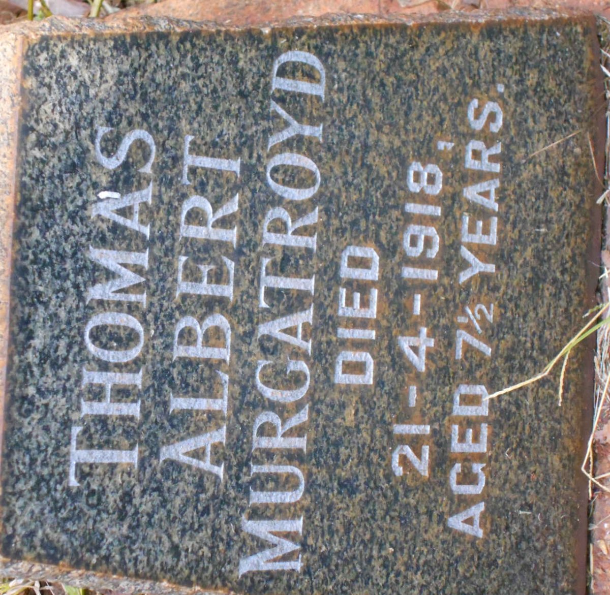 MURGATROYD Thomas Albert -1918