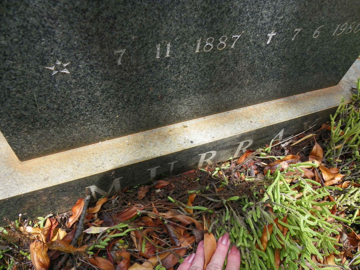 MURRAY Joseph Elias 1883-1946 &amp; Cornelia Magrieta Maria 1887-1980 _1