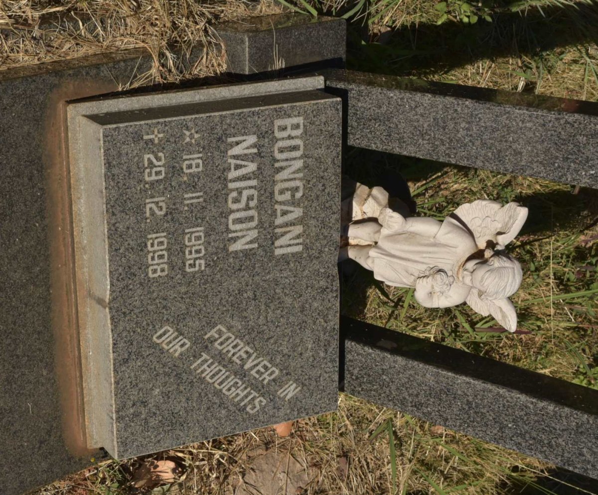 NAISON Bongani 1995-1998