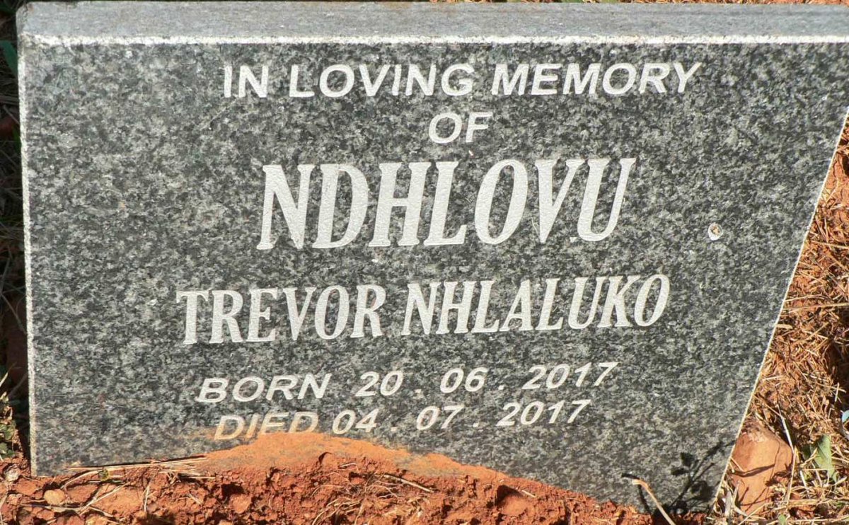 NDHLOVU Trevor Nhlaluko 2017-2017