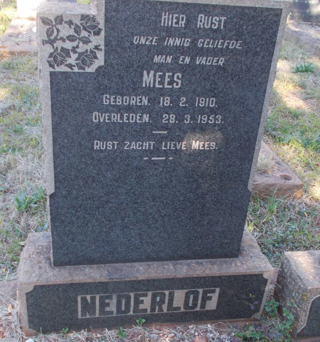 NEDERLOF Mees 1910-1953