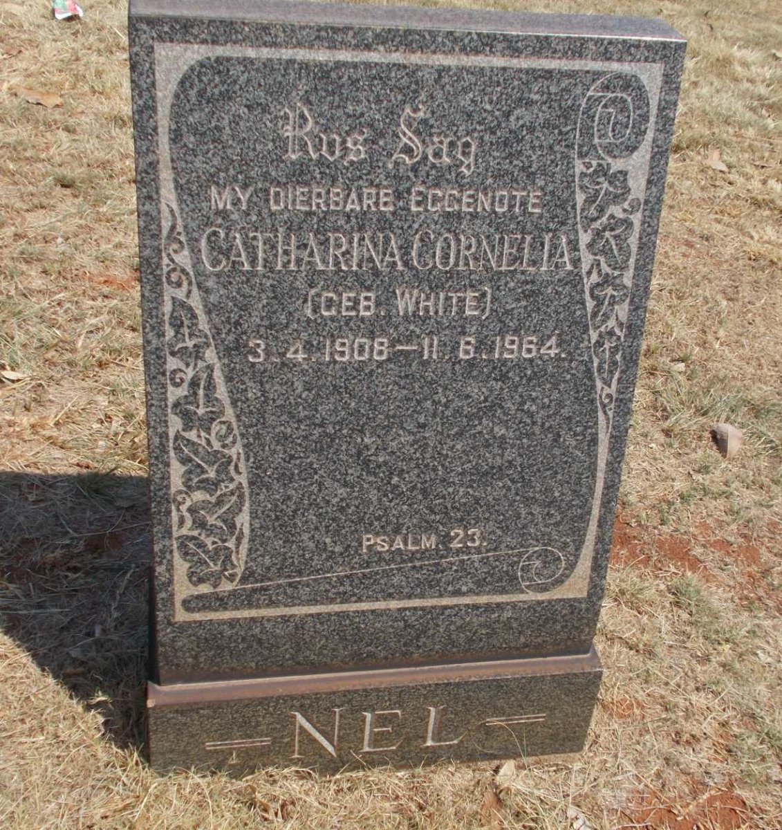 NEL Catharina Cornelia nee WHITE 1908-1964