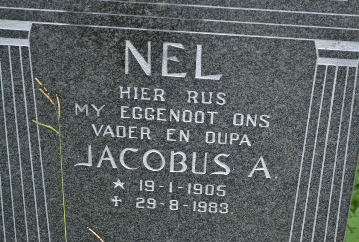 NEL Jacobus A. 1905-1983