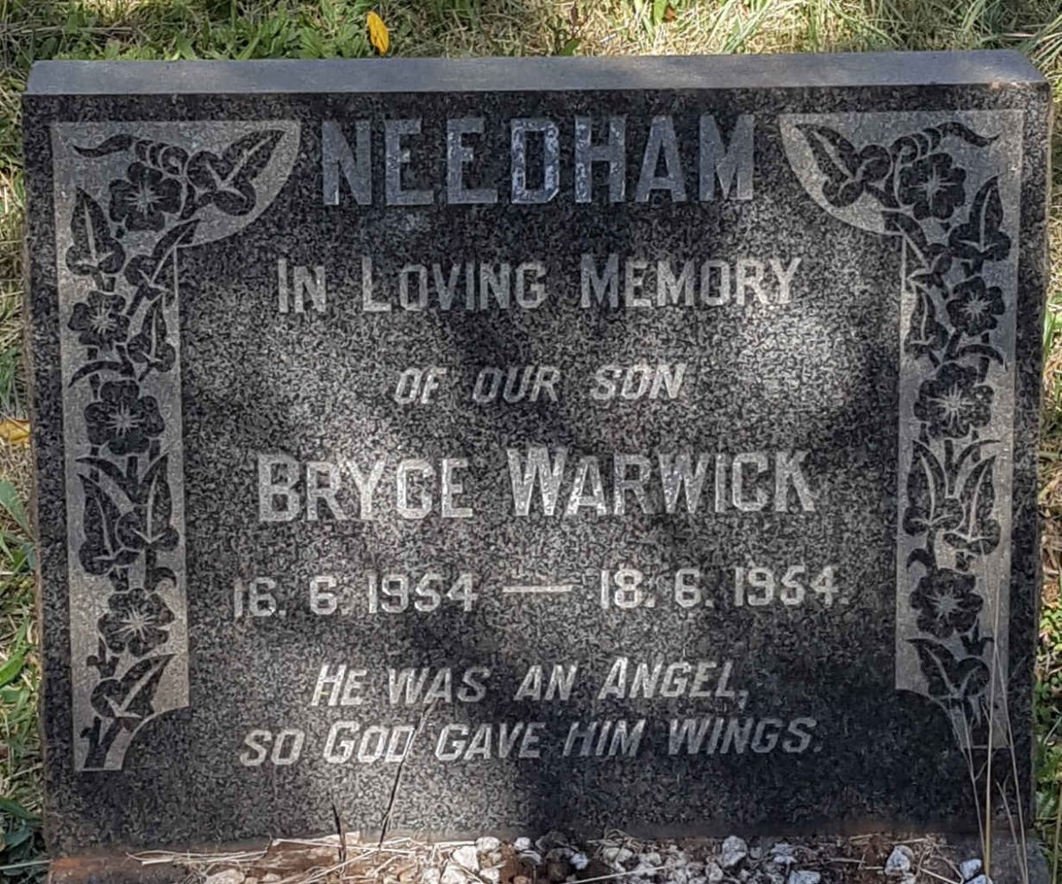 NEEDHAM Bryce Warwick 1954-1954
