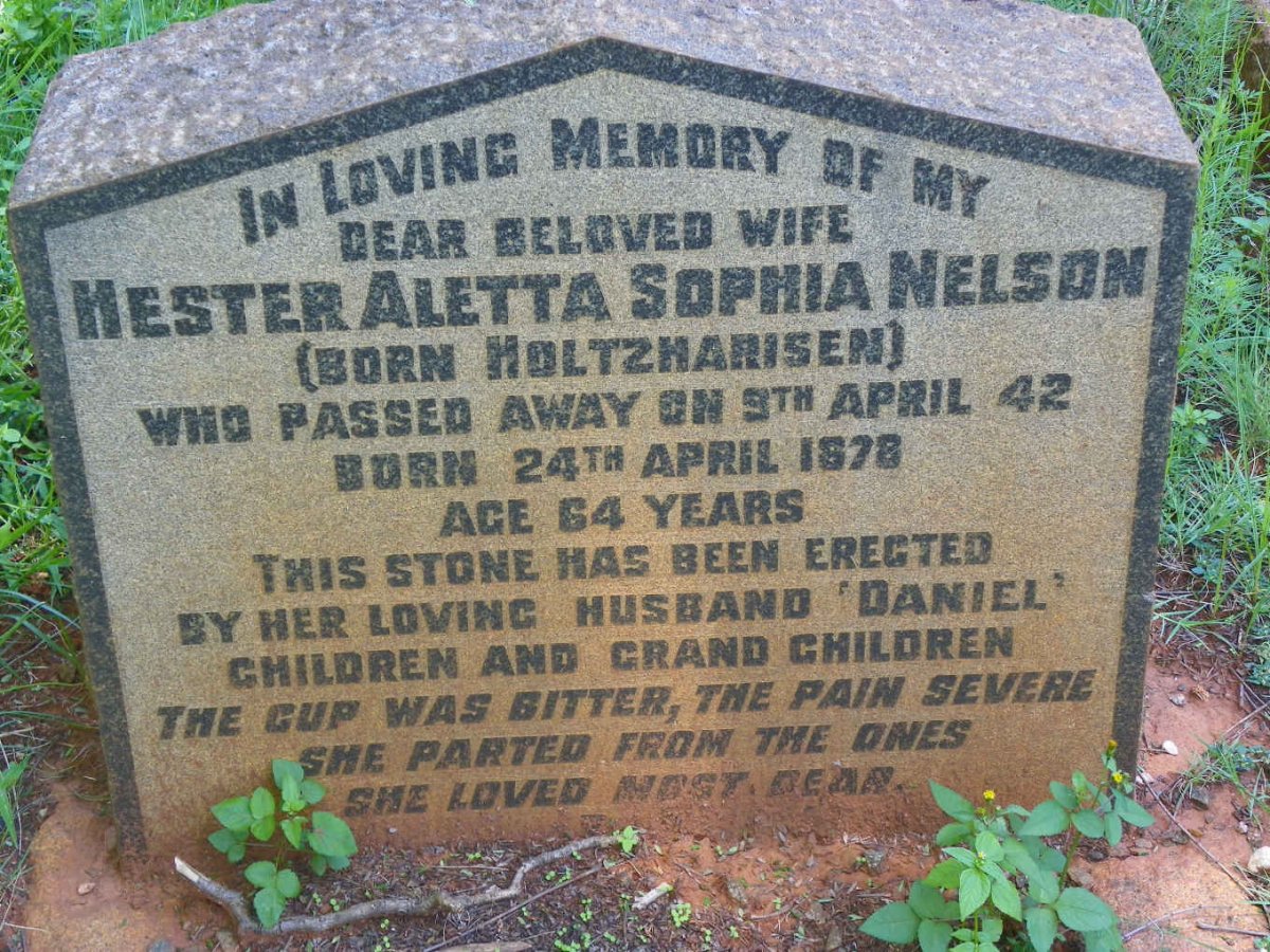 NELSON Hester Aletta Sophia nee HOLTZHARISEN 1878-1942