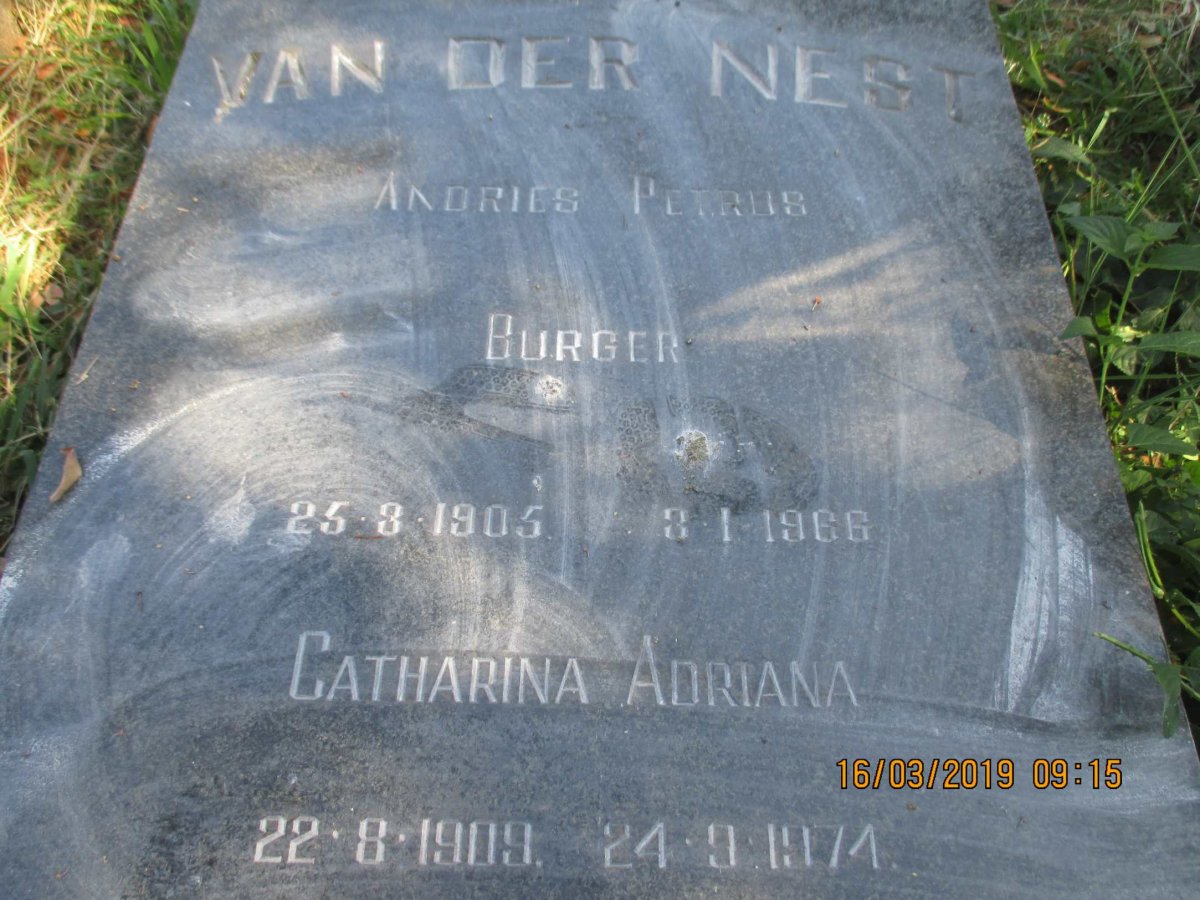 NEST Andries Petrus, van der 1905-1966 &amp; Catharina Adriana 1909-1974