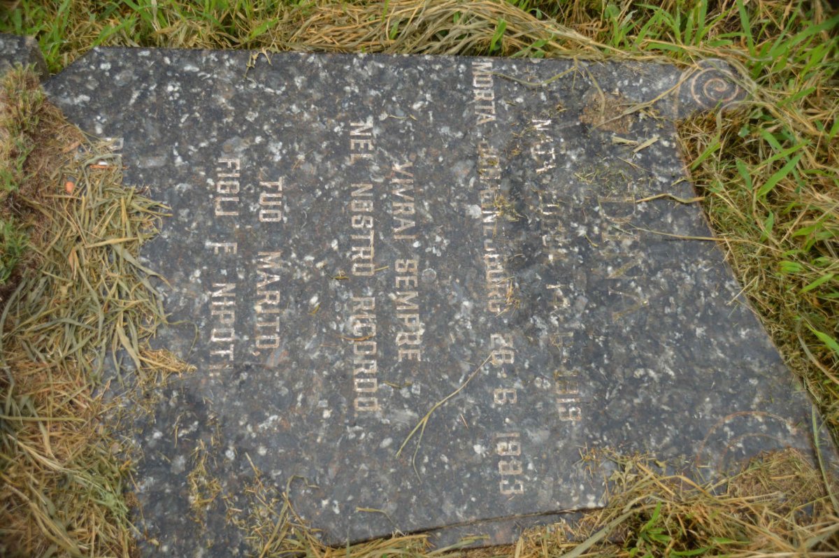 NICOLETTI Dina 1919-1993