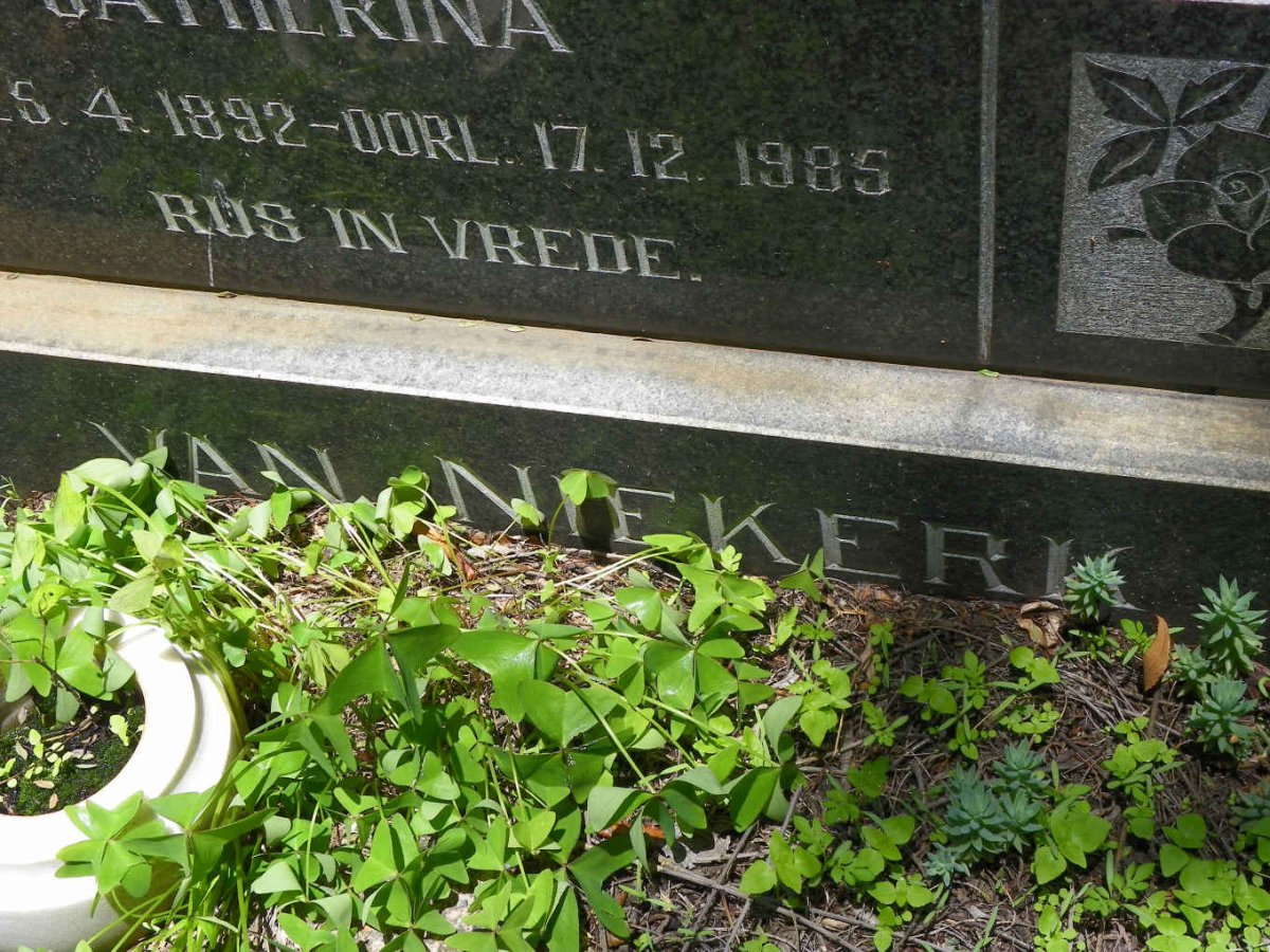 NIEKERK Hermanus Hernoldus, van 1884-1975 &amp; Maria Susanna Catherina 1892-1985