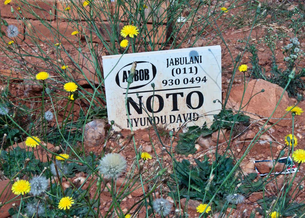 NOTO Nyundu David