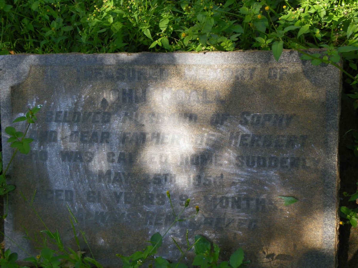 NOALL John -1950
