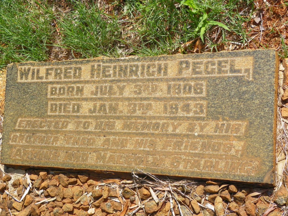 PEGEL Wilfred Heinrich 1906-1943
