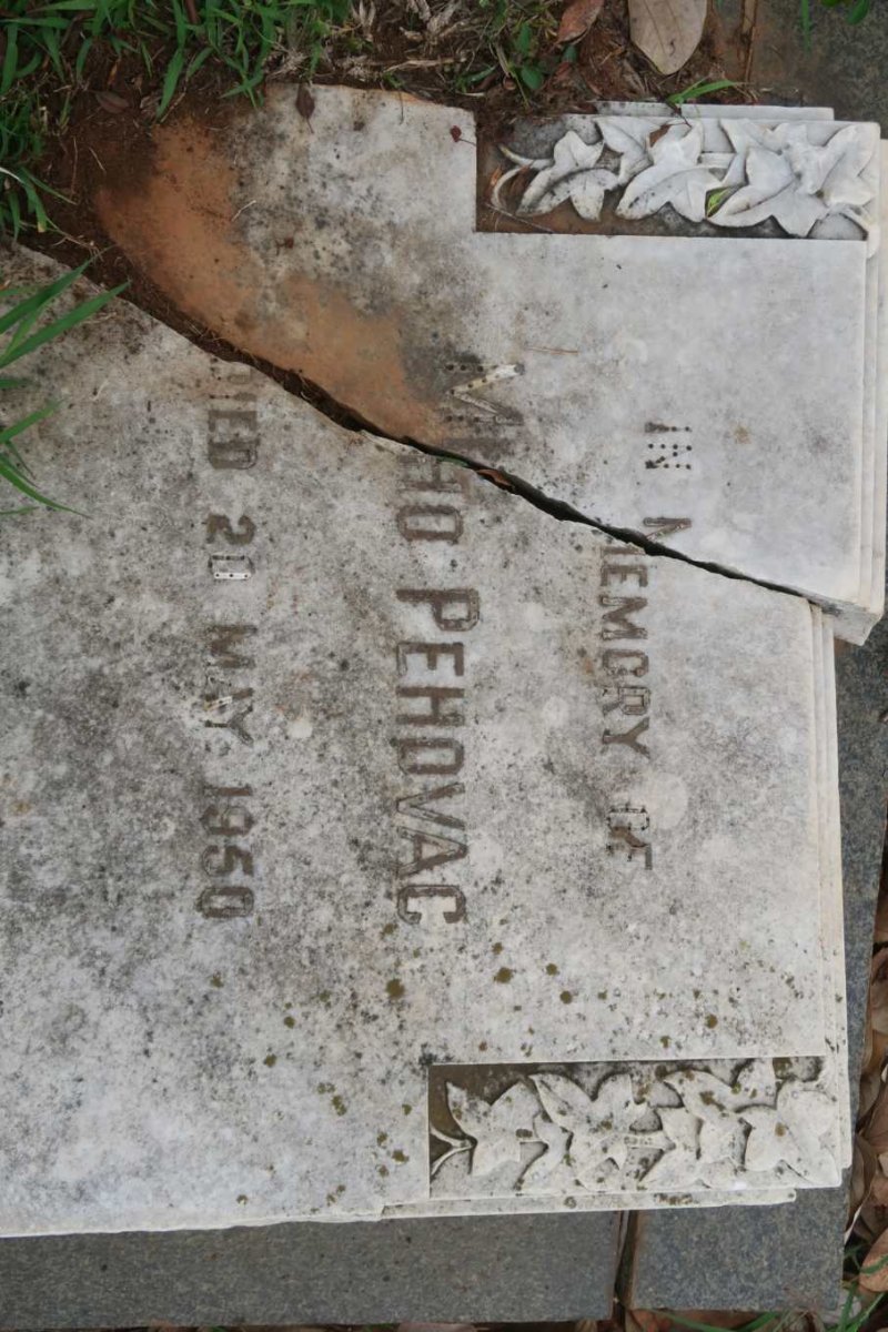 PEHOVAC M?o -1950