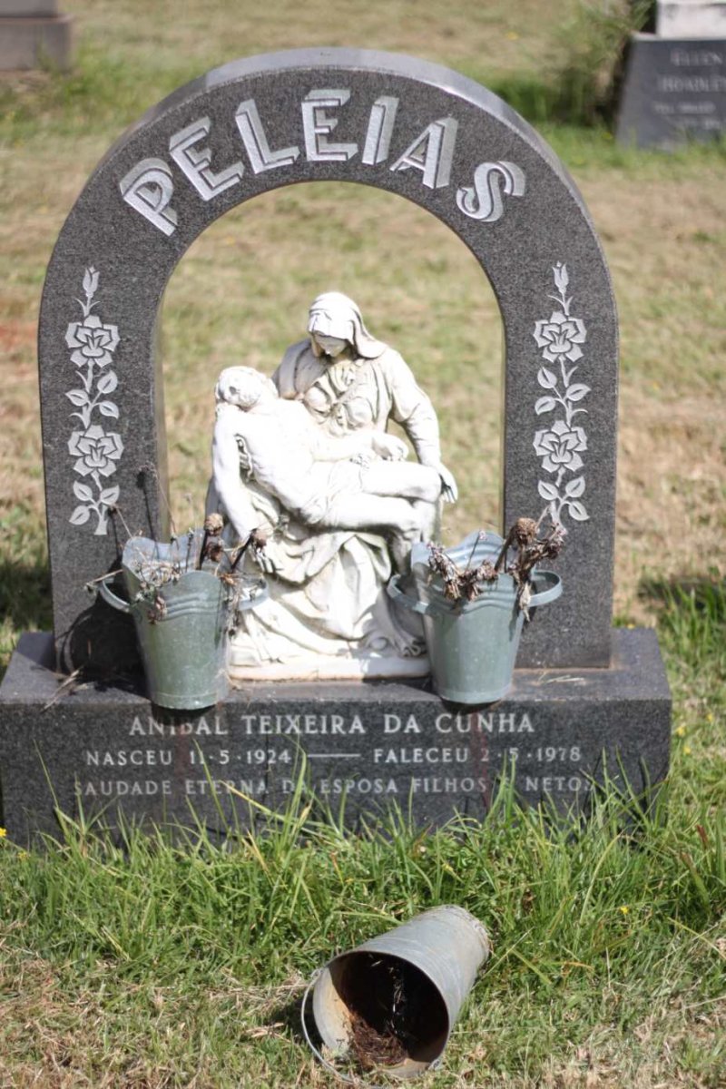 PELEIAS Anibal Teixeira da Cunha 1924-1978