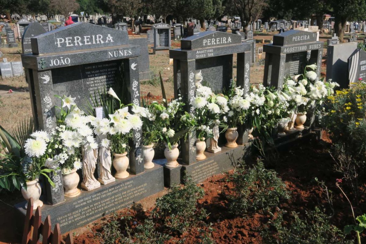 PEREIRA Agostinho Nunes 1943-2009 :: PEREIRA Joao Nunes 1964-2012 :: PEREIRA Agostinho Nunes 1969-2005