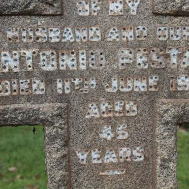 PESTANA Antonio -194? & Violet Emily 1906-1975