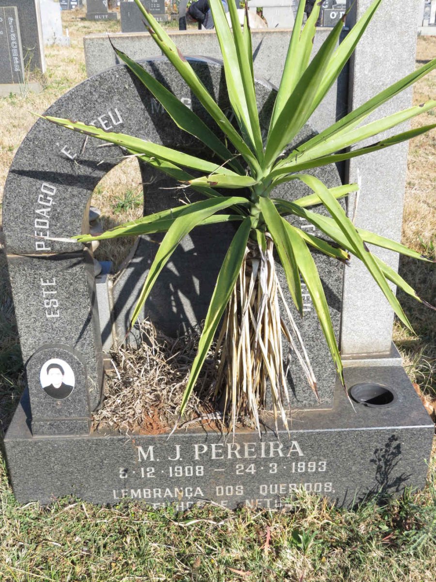 PEREIRA M.J. 1908-1993