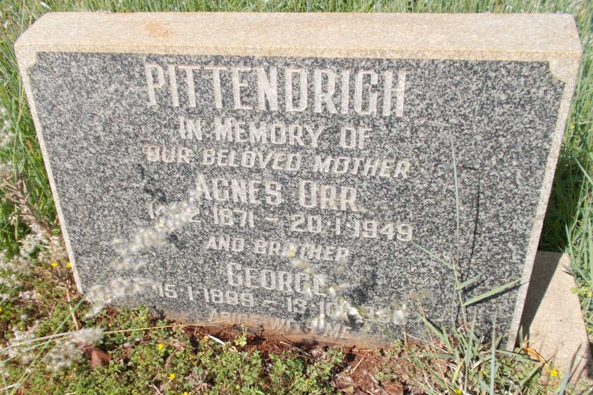 PITTENDRIGH Agnes Orr 1871-1949 :: PITTENDRIGH George 1899-1956