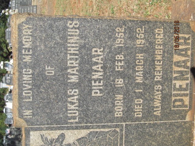 PIENAAR Lukas Marthinus 1952-1952