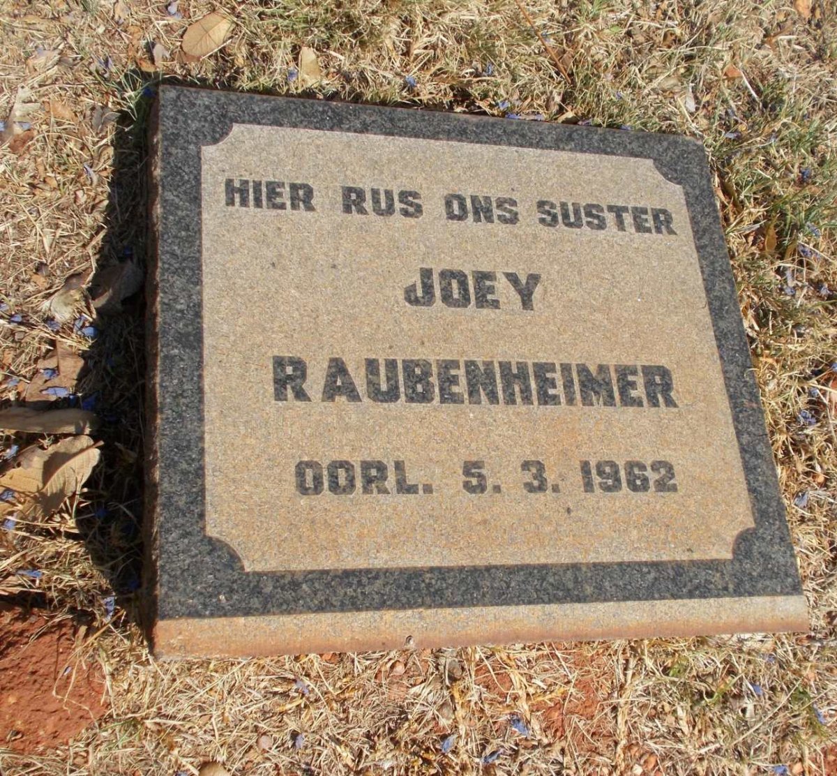 RAUBENHEIMER Joey -1962
