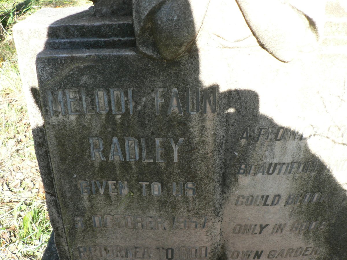 RADLEY Melodi Faun 1957-