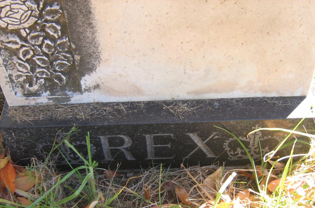 REX Arthur 1929-1967