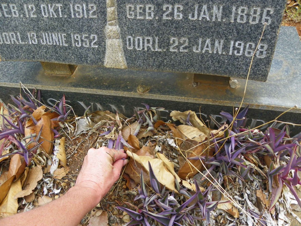 RENSBURG Elsie Maria Sophia, Janse van 1886-1968 :: JANSE VAN RENSBURG Petrus Johannes 1912-1952