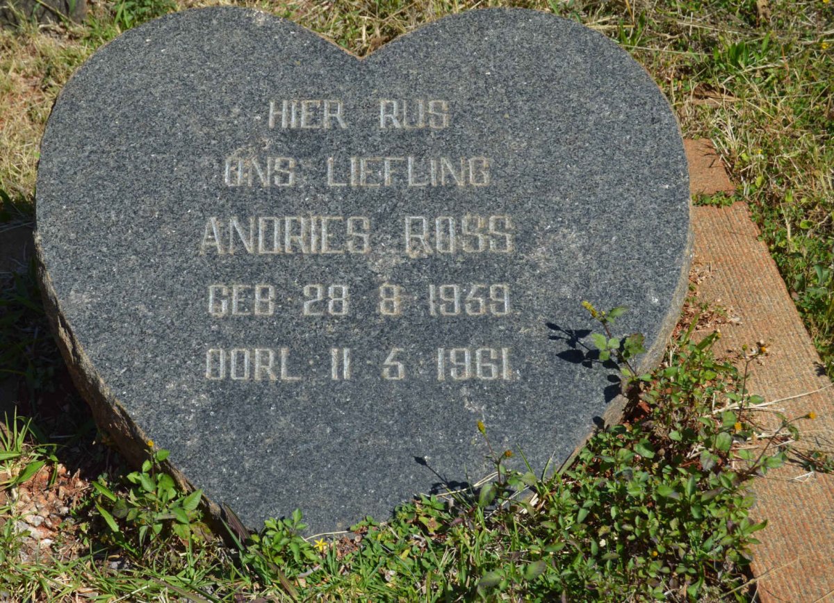 ROSS Andries 1959-1961