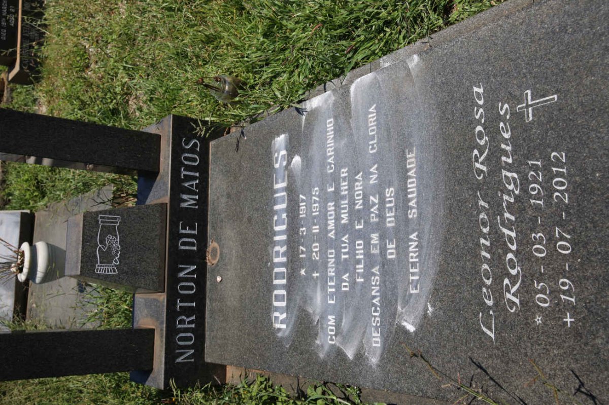 RODRIGUES Norton de Matos 1917-1975 &amp; Leonor Rosa 1921-2012