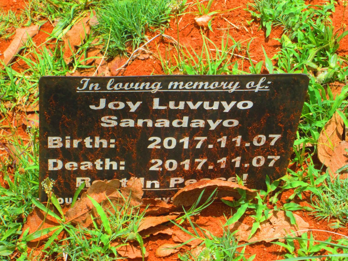 SANADAYO Joy Luvuyo 2017-2017
