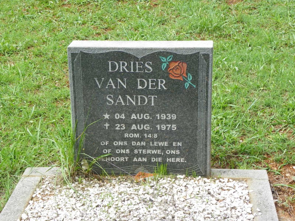 SANDT Dries, van der 1939-1975