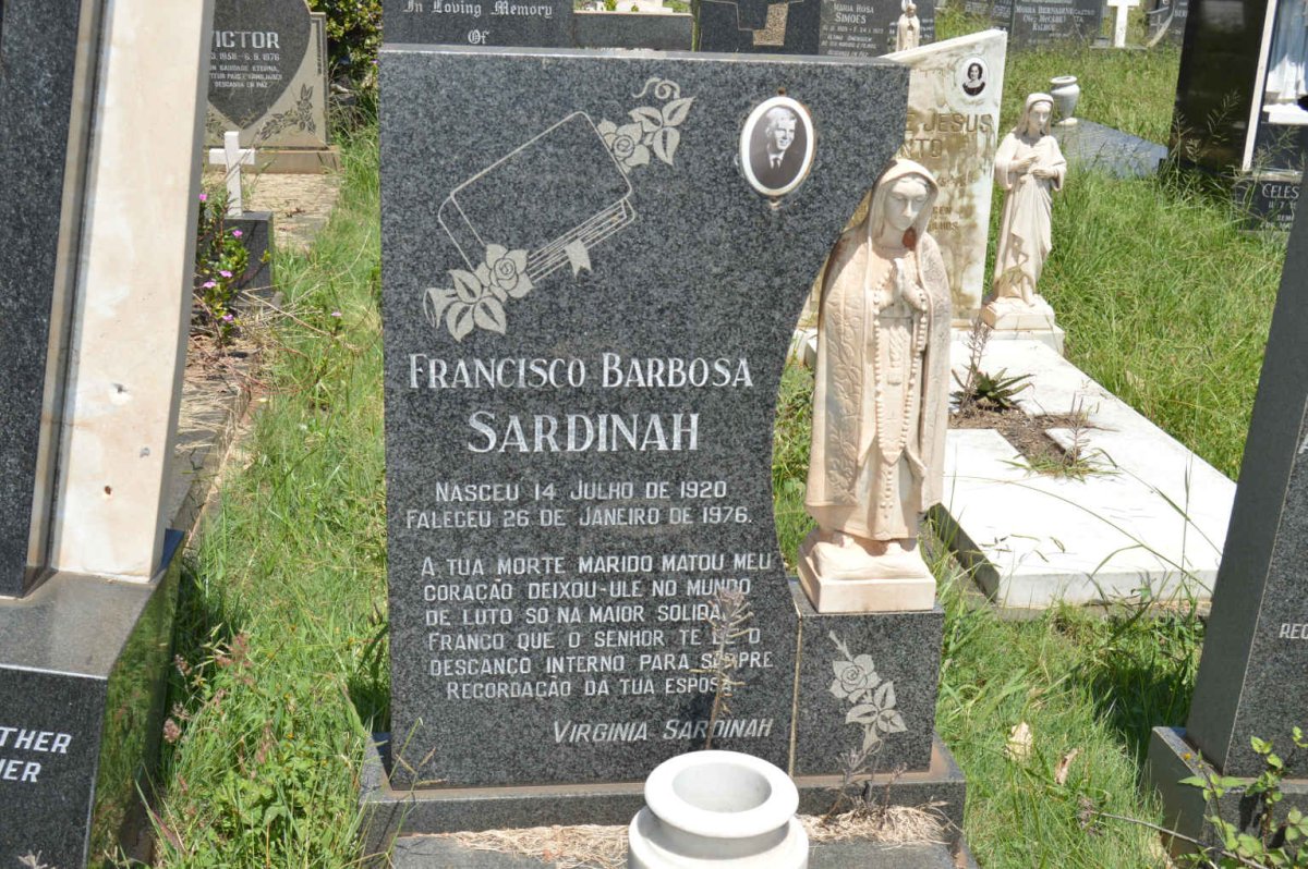 SARDINAH Francisco Barbosa 1920-1976