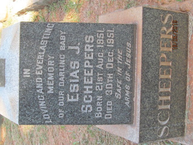 SCHEEPERS Esias J. 1951-1951