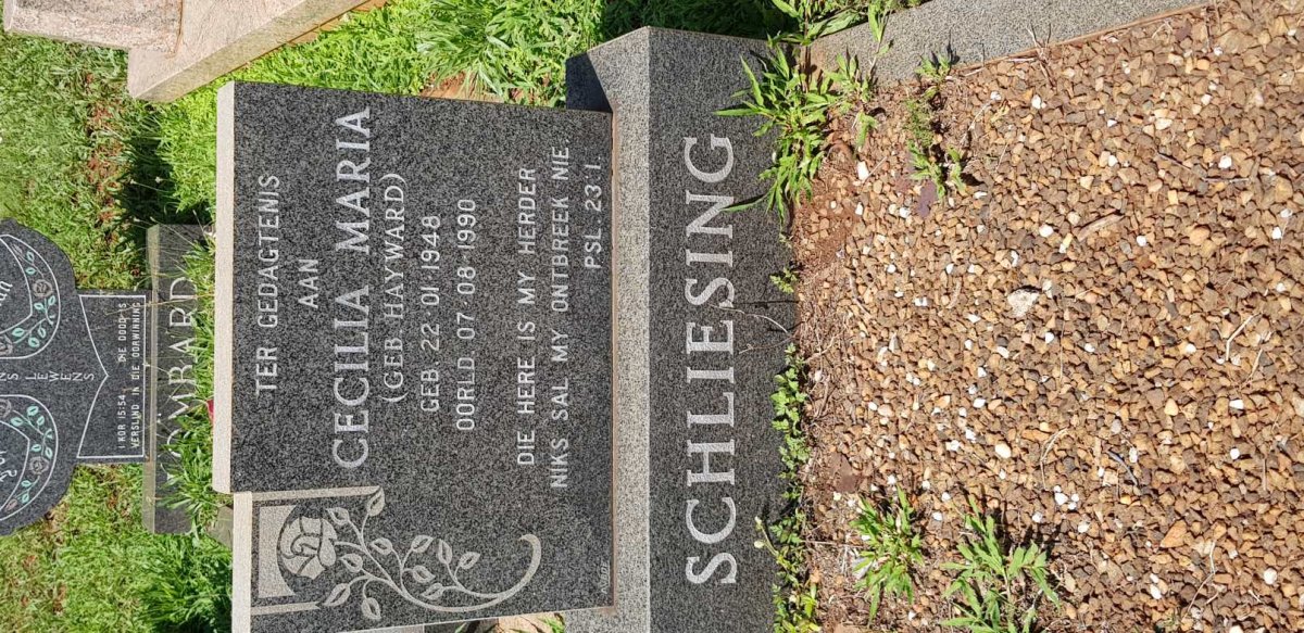 SCHLIESING Cecilia Maria nee HAYWARD 1948-1990