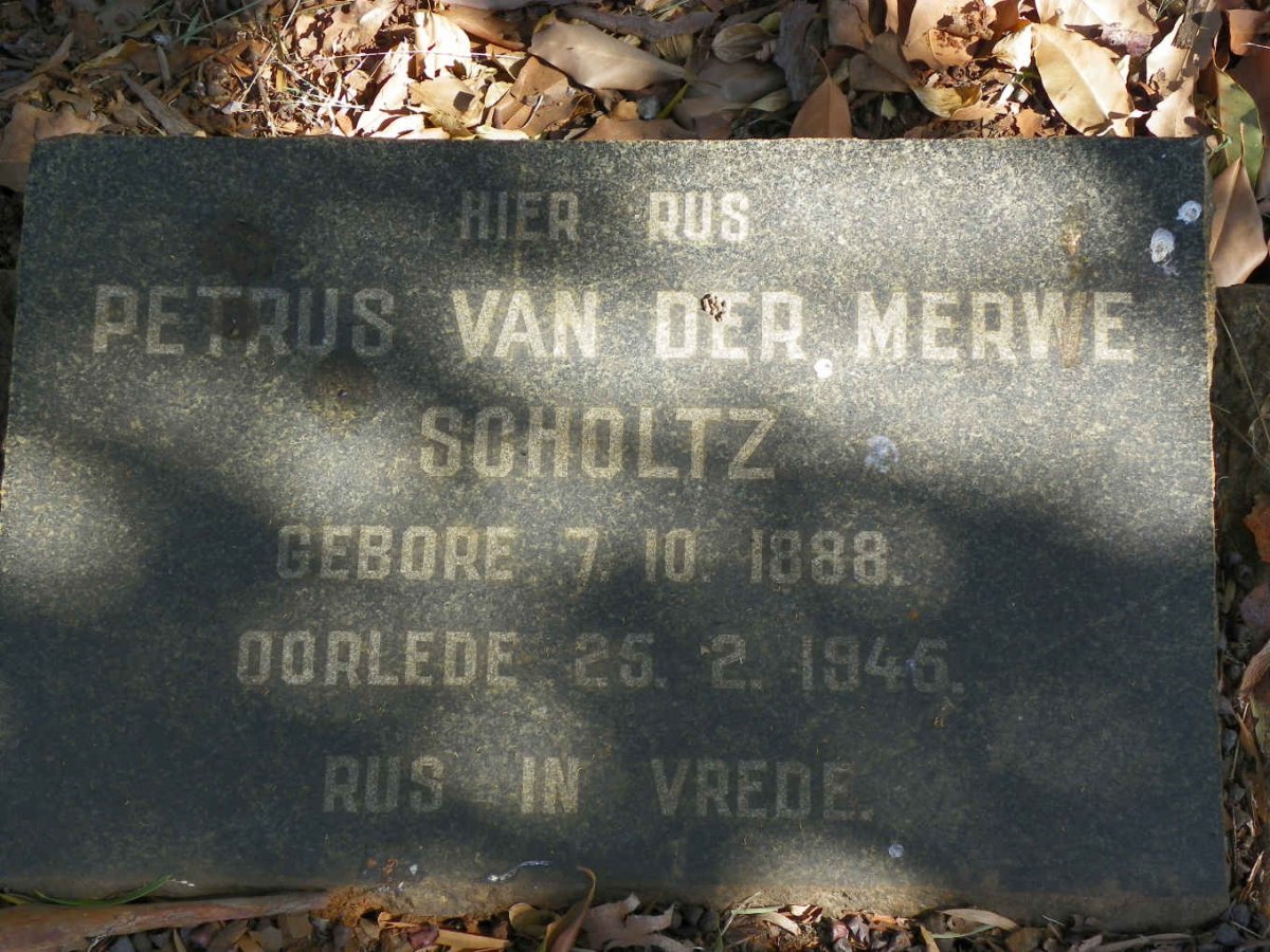 SCHOLTZ Petrus Van Der Merwe 1888-1945
