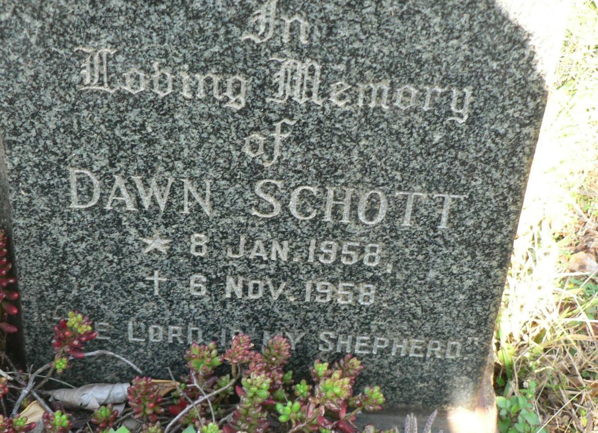 SCHOTT Dawn 1958-1958