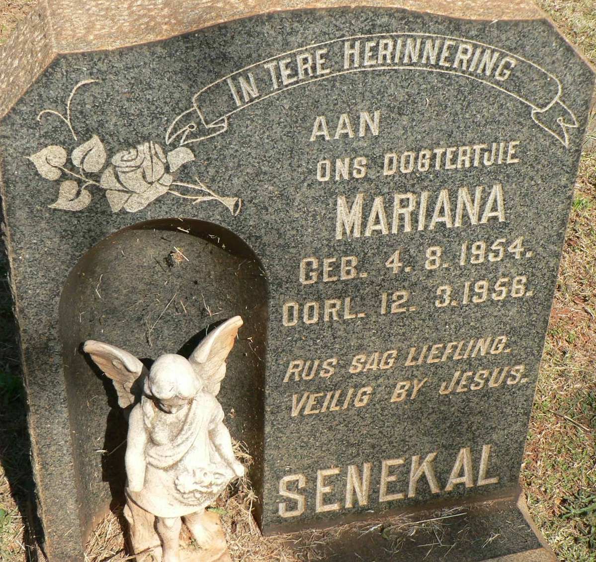 SENEKAL Mariana 1954-1956