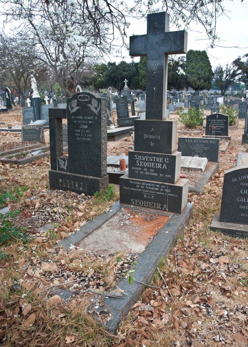 SEQUEIRA Silvestre G. 1938-1960