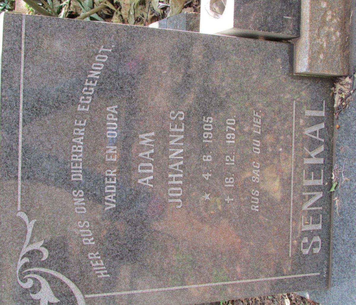 SENEKAL Adam Johannes 1905-1970