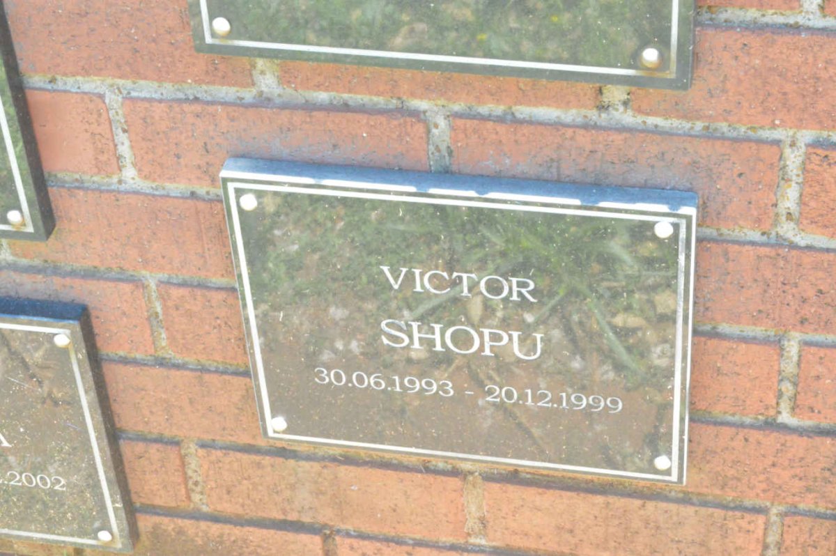 SHOPHU Victor 1993-1999