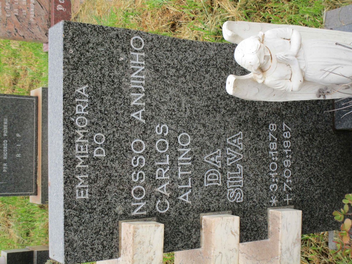 SILVA Nosso Anjinho Carlos Altino, da 1979-1987