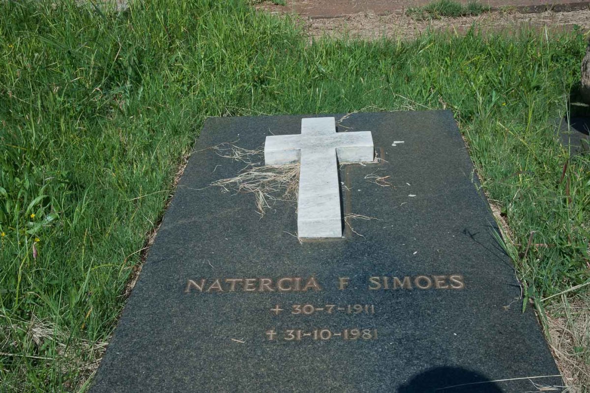 SIMOES Natercia F. 1911-1981