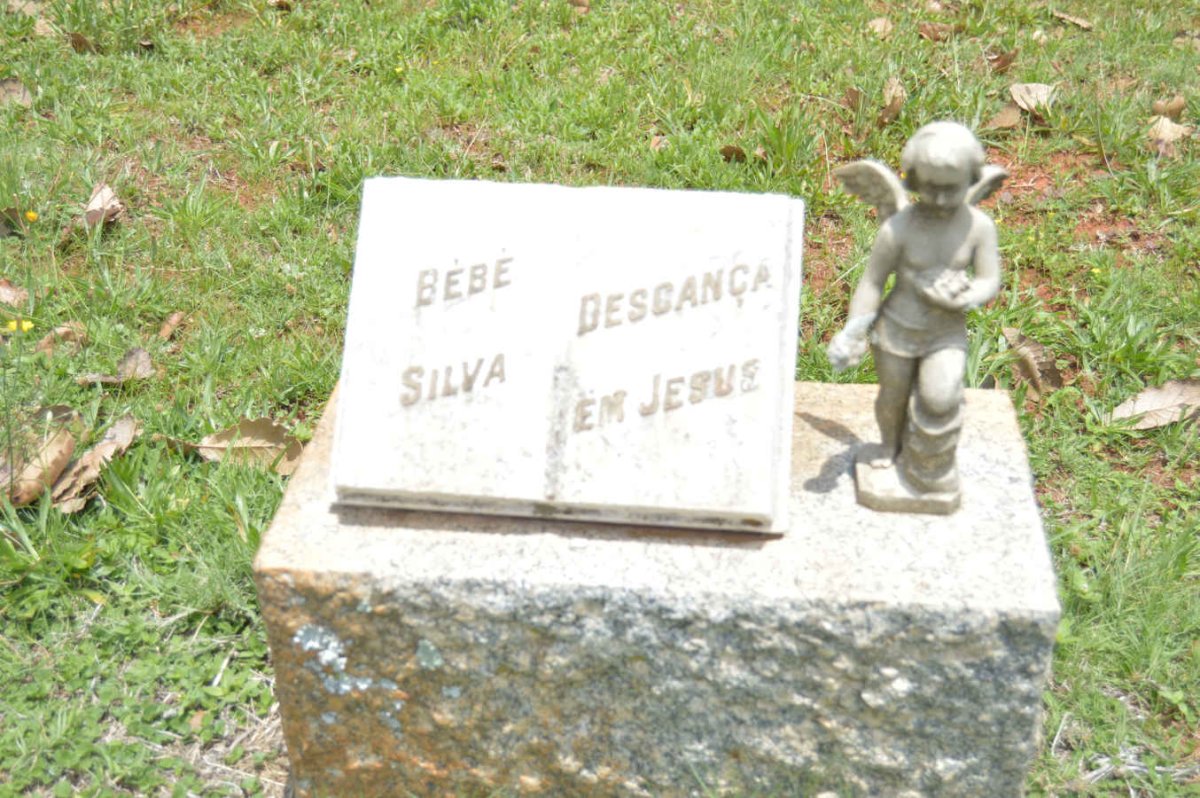 SILVA