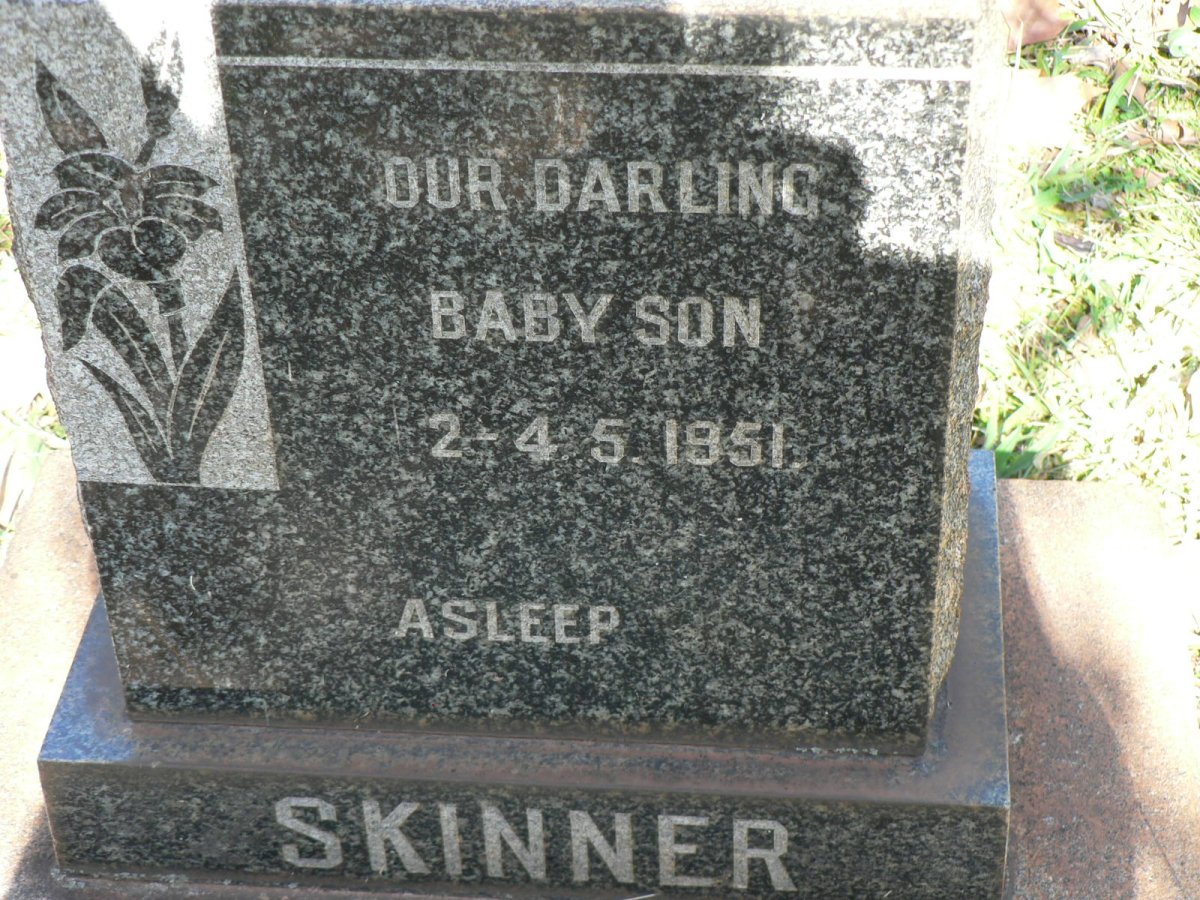 SKINNER -1951