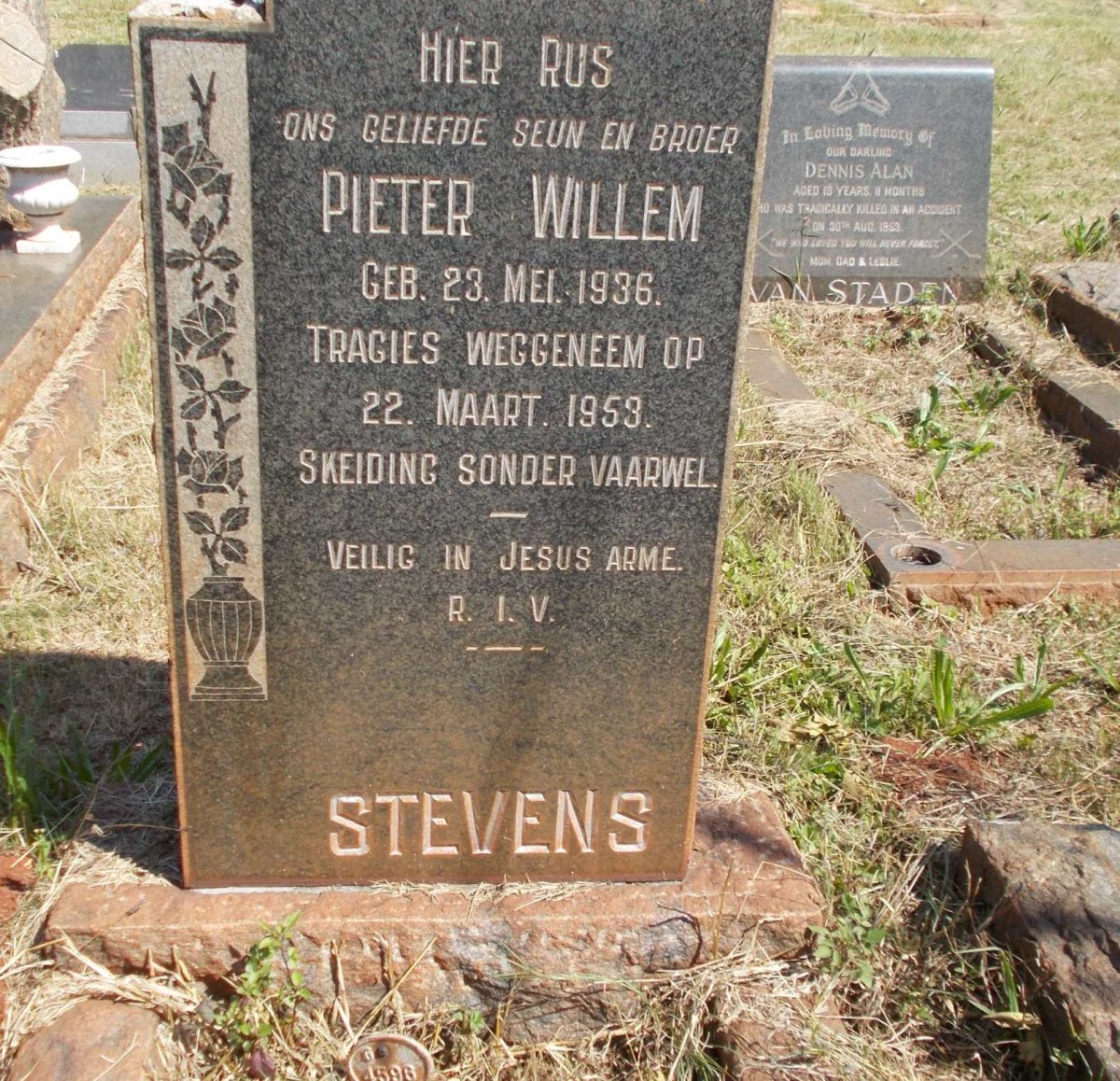 STEVENS Pieter Willem 1936-1953