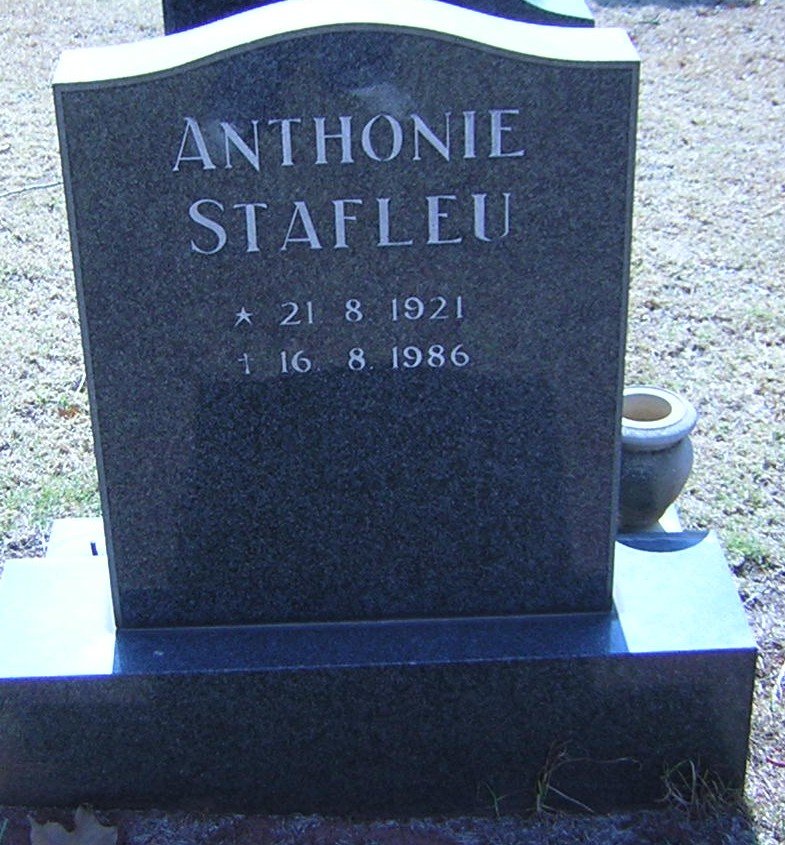 STAFLEU Anthonie 1921-1986