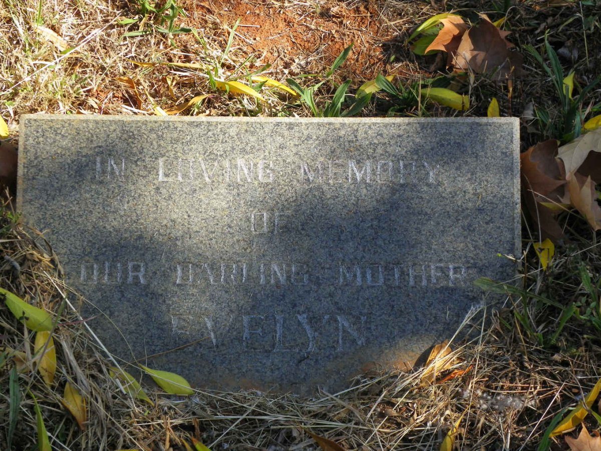 STEINBERG Evelyn